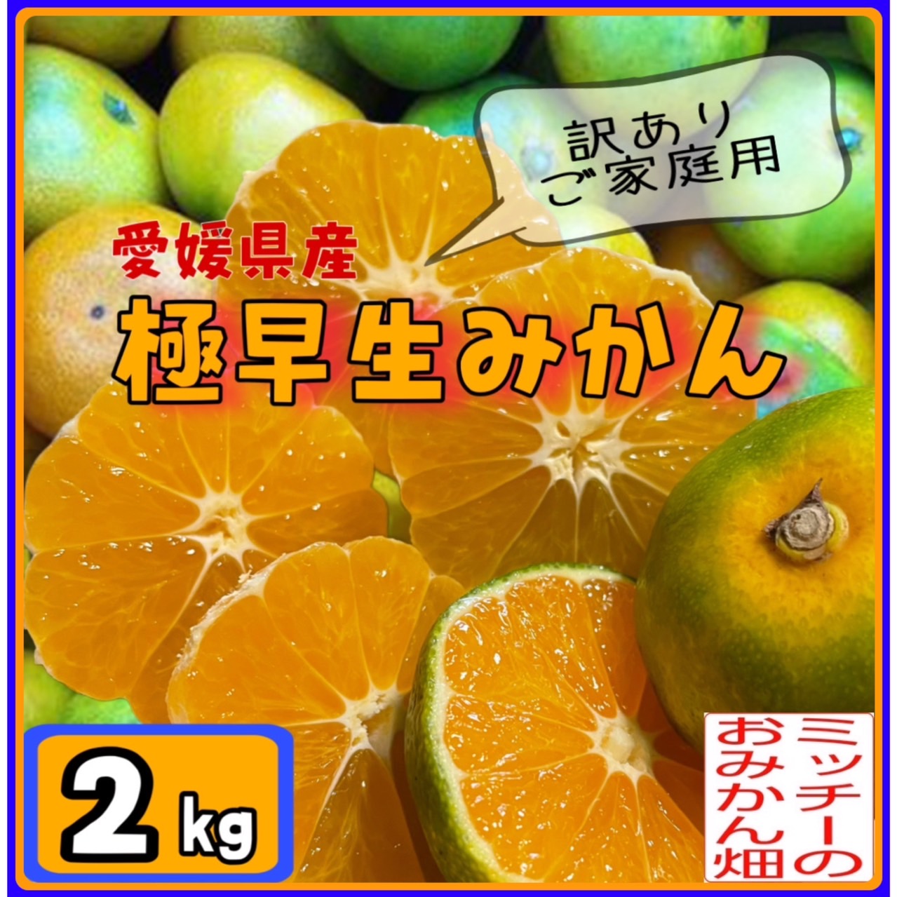 🌸予約受付🌸【北海道 沖縄のお客様用】極早生 温州みかん【訳あり】《えひめ県産》